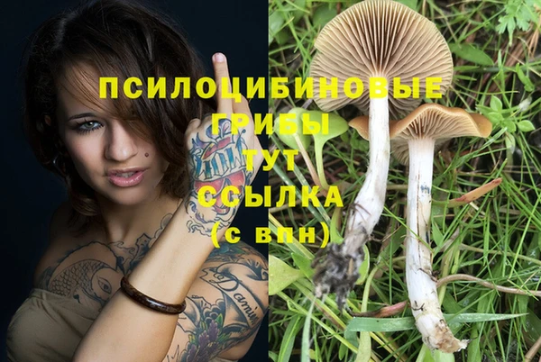 герыч Абдулино