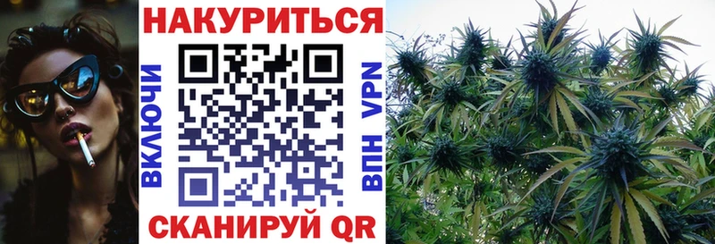 где купить   Котельнич  гидра как войти  Марихуана планчик 